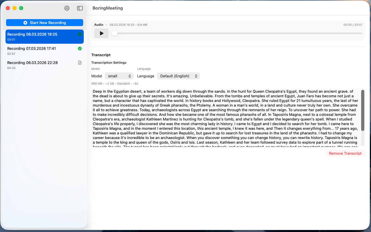 BoringMeeting — transcript screen
